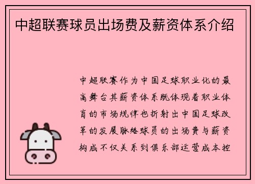 中超联赛球员出场费及薪资体系介绍