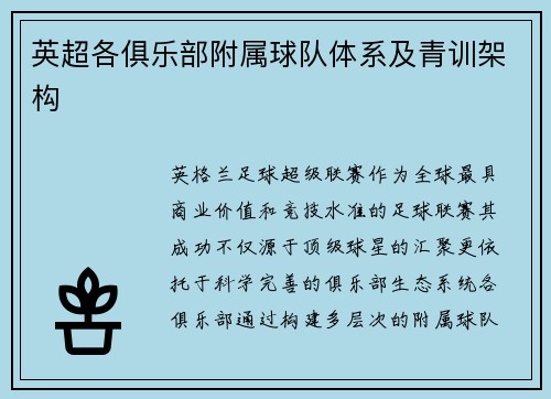 英超各俱乐部附属球队体系及青训架构